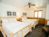 , Premium Lodge Room 16